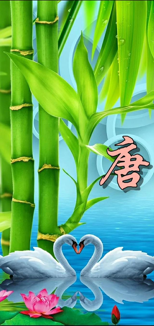 66张全屏壁纸，唯美清新绿色养眼，足足有6款，值得收藏