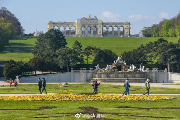 太美了！收藏这组美图就好像拥有了整个春天