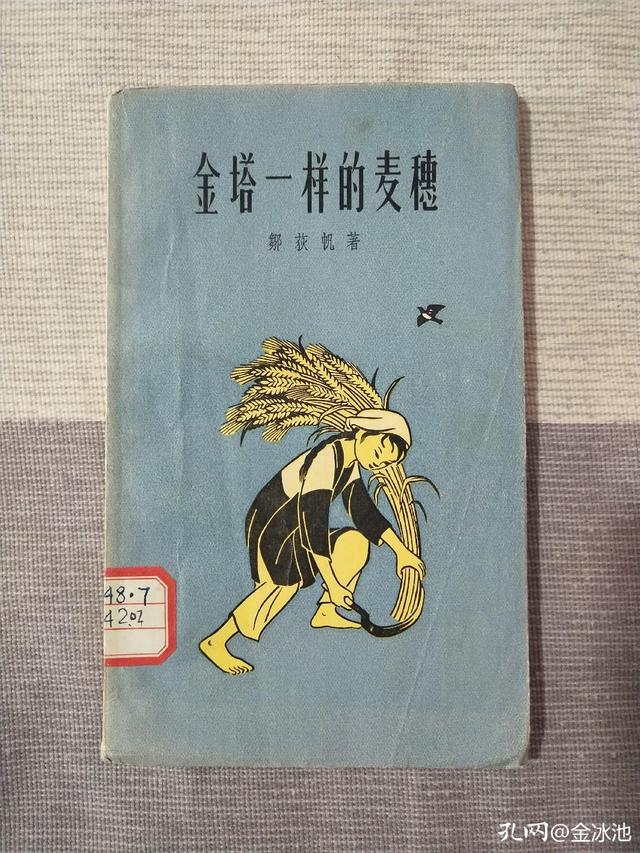 我的收藏哲学：随富随贫且欢乐，不开口笑是痴人