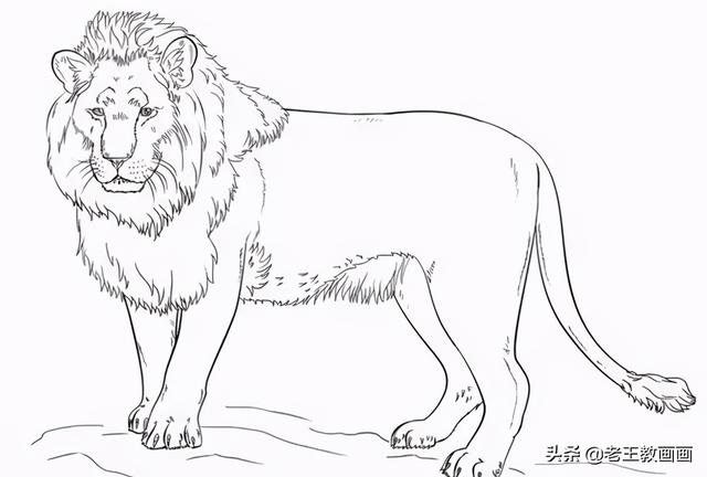 收藏备用！100例手绘素材，画画资料都不用买了