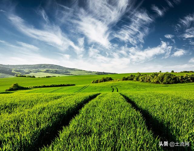 建议收藏！最全土地权属争议调查处理方法