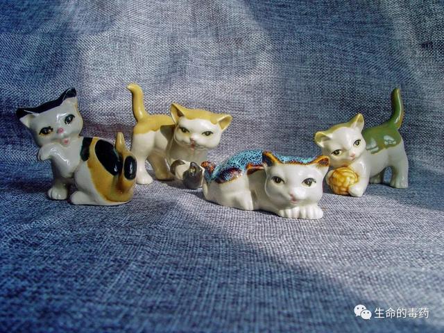 猫的老物件收藏（二）