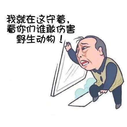 男子酷爱收藏，家中“藏品”连警方都震惊了