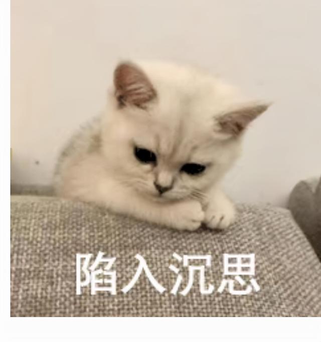 老师傅收藏已久的6个网站，资源超多还免费，你想要的都在这