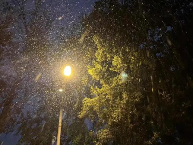水始冰，地始冻，冬始至，今日立冬：寒意悄然至，万物始收藏